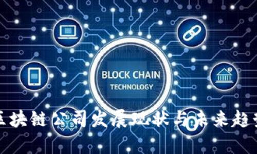 蔡甸区块链公司发展现状与未来趋势分析