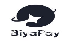 在使用TP钱包等数字货币钱