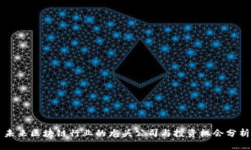 未来区块链行业的龙头公司与投资机会分析