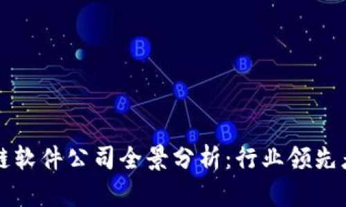 中国区块链软件公司全景分析：行业领先者与创新者