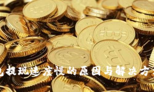 TP钱包提现速度慢的原因与解决方法解析